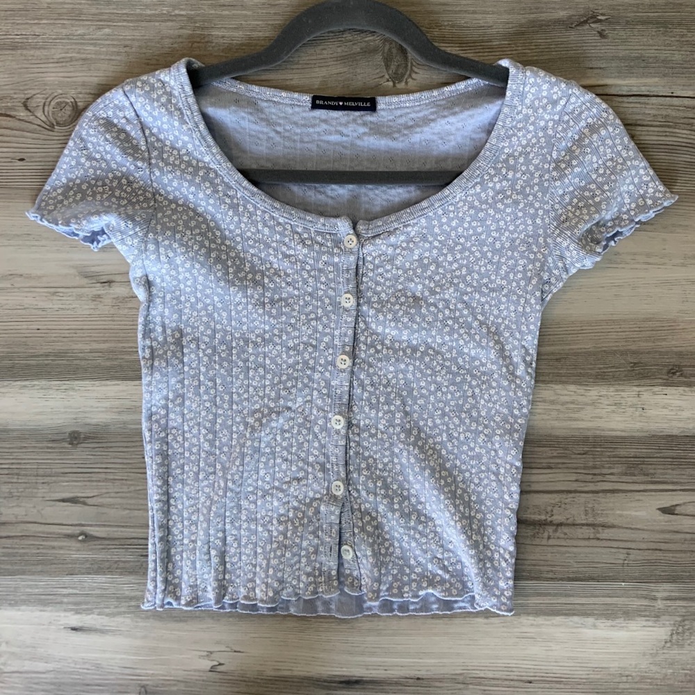 Blue Flower Zelly Brandy Melville Top